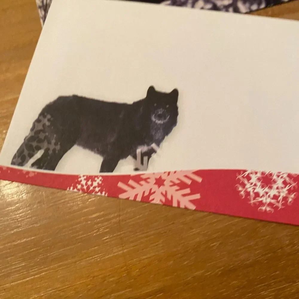 Defenders of Wildlife Black Wolf Winter Season Greeting‎ Merry Christmas Card